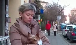 Екшън в софийски квартал: Агресивно куче бойна порода атакува домашен любимец и стопанката му