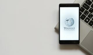 Турция обяви война на „Уикипедия“