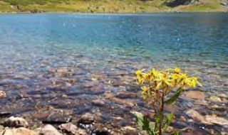 Слънчев и горещ четвъртък