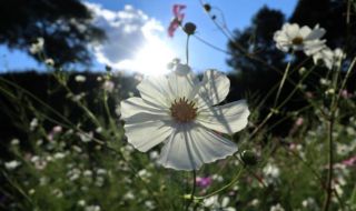 Разкъсана облачност, температурите се повишават