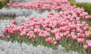 Времето днес, прогноза за понеделник, 20 април: Променлива облачност, превалявания и умерен вятър