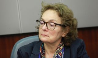 Проф. Румяна Коларова: Трифонов опитва да вдигне шум