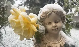 Българчетата през XXII век няма да знаят какво е сняг и зима