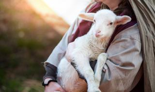 Басня: Няма оправдание за злото