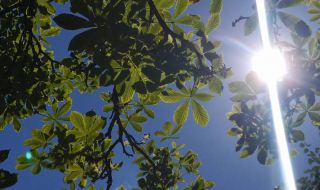 Времето днес, прогноза за вторник, 24 октомври: Слънчево, ще духа слаб южен вятър