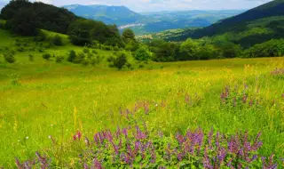 Времето днес, прогноза за четвъртък, 30 април: Облачно с повсеместни валежи от дъжд