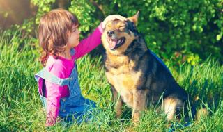 5 истории - доказателства за неповторимата лоялност на кучетата (Част 2)