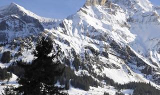 Лавина в австрийските Алпи уби двама германски скиори