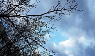 Ветровит вторник