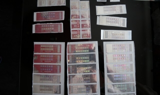 Един остава в ареста за менте автодокументите