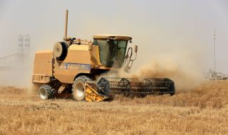 Ирак: Недостиг на вода доведе до проблеми при производството на пшеница