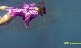 Седем-годишно дете плува сред страховити акули (видео)