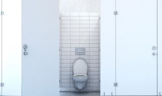 Опасно ли е да сядаме на тоалетната чиния в обществените тоалетни?