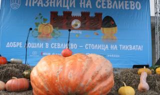 260-килограмова тиква смая всички в Севлиево