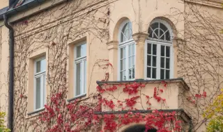 Повечето европейци живеят в къщи, а не в жилища