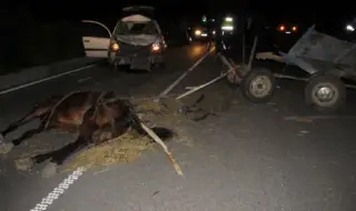 18-year-old dies after car hits horses 