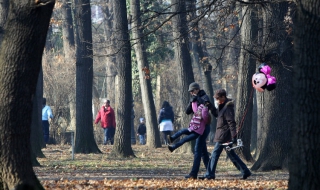 Живеещите в близост до градски паркове се радват на по-добро психично здраве
