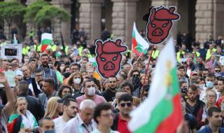 САЩ подкрепиха протестите в България