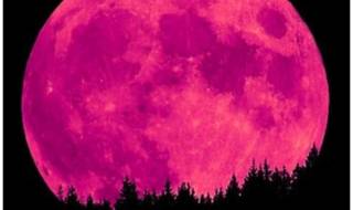 Розова Луна ще озари априлското небе