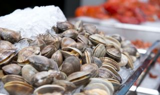 Мидите съдържат най-много микропластмаси от всички морски дарове
