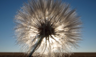 Жълт код за високи температури в 12 области