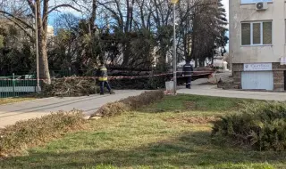 На над 15 сигнала за аварии, причинени от силния вятър, са реагирали пожарникарите в Перник