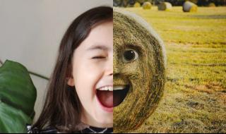 Международен проект на един от най-известните съвременни артисти в България