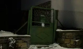 Разследващи за видеата с мъчения над животни: Много са трудни за гледане, не може да се сравни с нищо