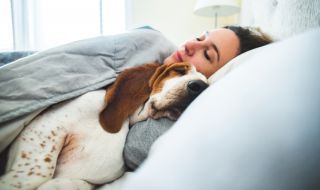 Кучето под завивките е полезно за женското здраве