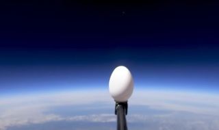 В името на експеримента пуснаха яйце от космоса (ВИДЕО)