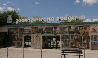 Зоопаркът в София остава отворен