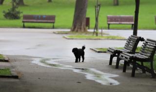Ремонтират историческата част на Борисовата градина с европейски пари