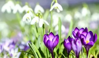 Времето днес, прогноза за неделя, 8 март: Слънчево, купеста облачност следобед в планинските райони