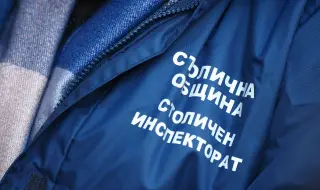 Започват ежедневни проверки на местата за кучета в София
