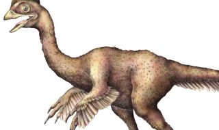 Палеонтолози откриха останки от непознат динозавър с размерите на кокошка