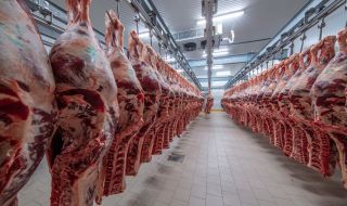 Четири категории на ужаса: Защо месото в Германия е евтино?