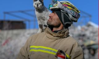 Спасена след земетресението котка не се отделя от спасителите си (ВИДЕО)