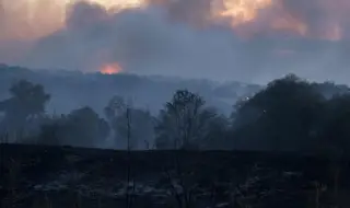 Голям пожар гори в района на Сакар планина