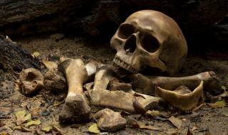 Откриха непокътнати мозъчни клетки в череп на мъж, умрял преди 2000 години