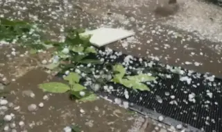 The mayor of Tarnovo called a crisis headquarters because of the hail, they describe the damage after the storm in Lovec