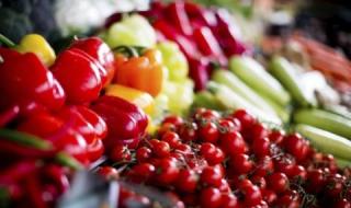 Производителите на зеленчуци с решение за безработицата