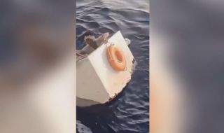 Корабокрушенец плава 11 дни във фризер в океана (ВИДЕО)