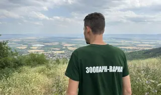 Черният хищник от седмици върлува в Шуменското плато! Не се знае и до каква степен хищникът е опитомен!