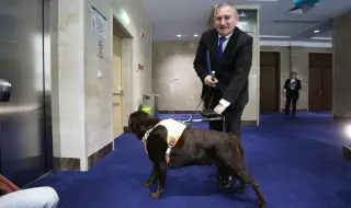За първи път: Куче придружи незрящ депутат в парламента