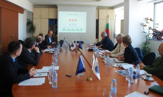 Засилват контрола върху износа и вноса на дървесина