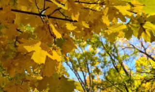 Остава слънчево в цялата страна