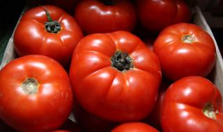 Унищожават 24 тона вносни зеленчуци