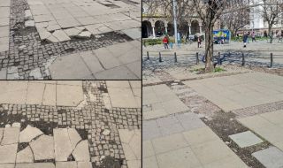 "Спаси София" посади цветя в центъра на София, на мястото на липсващи тротоарни плочки