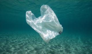 Създадоха найлонови торбички, които се разтварят във вода