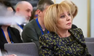 Манолова: КЕВР да отреже мераците на ЕРП-тата за такса електромер!